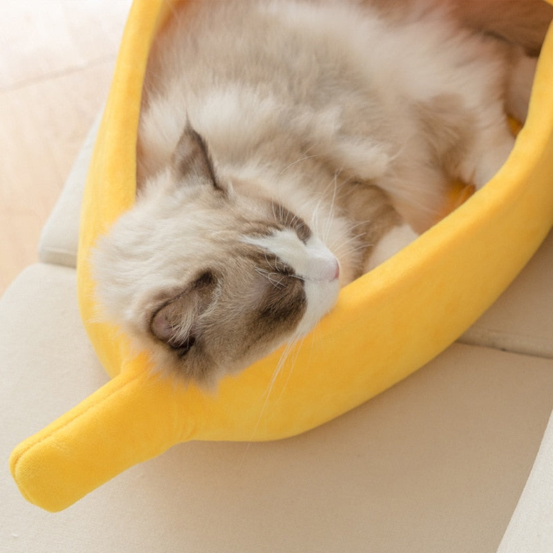 Cama de gato de banana