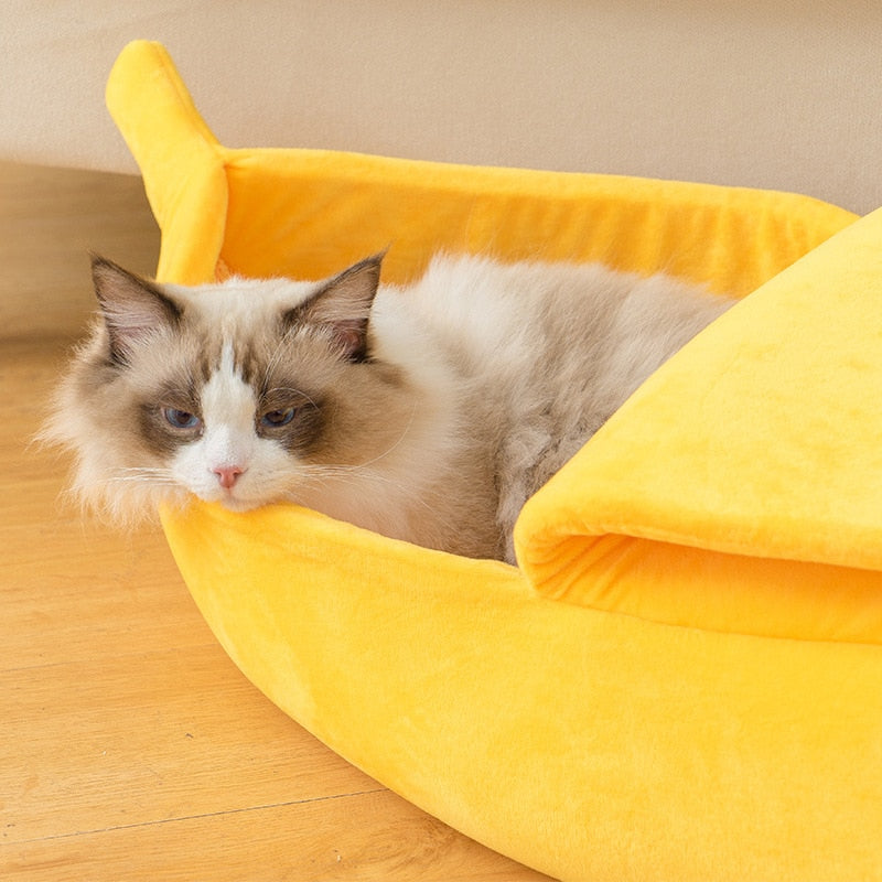 Cama de gato de banana